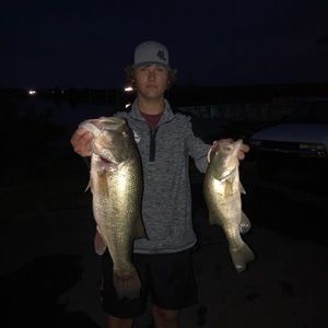 Meet your Posher, Gavin